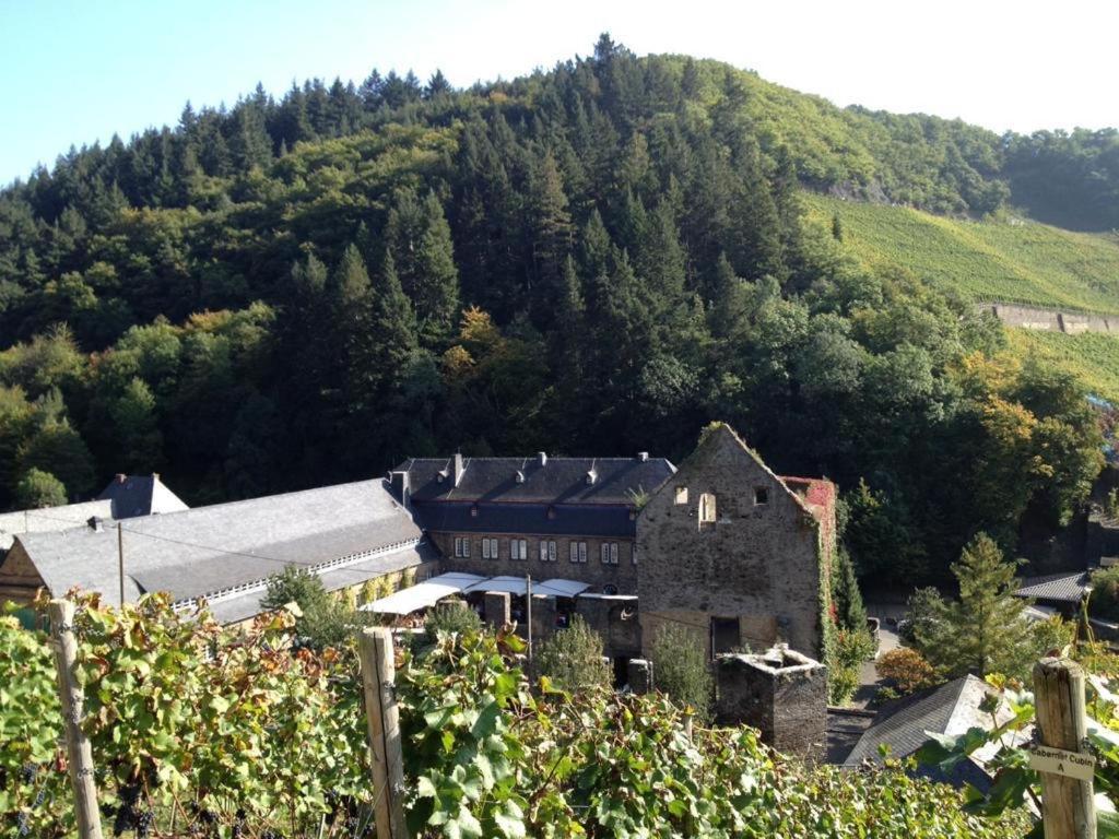 Ferienwohnung Landskroner Blick باد نوينهار اهرفيل المظهر الخارجي الصورة